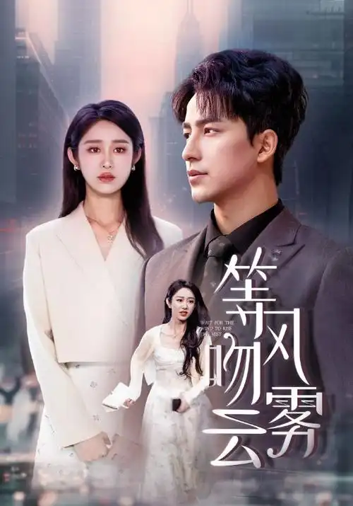 渴望 1990 经典剧集完整版